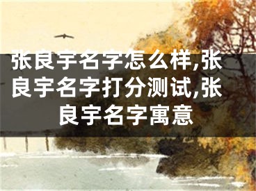 张良宇名字怎么样,张良宇名字打分测试,张良宇名字寓意