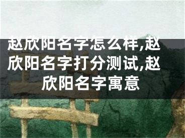 赵欣阳名字怎么样,赵欣阳名字打分测试,赵欣阳名字寓意
