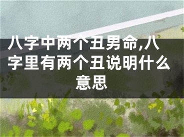 八字中两个丑男命,八字里有两个丑说明什么意思