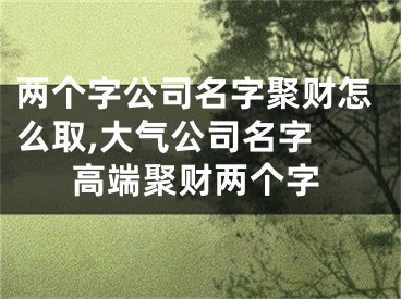 两个字公司名字聚财怎么取,大气公司名字 高端聚财两个字