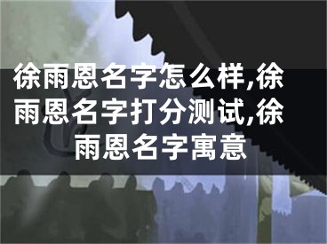 徐雨恩名字怎么样,徐雨恩名字打分测试,徐雨恩名字寓意