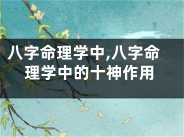 八字命理学中,八字命理学中的十神作用