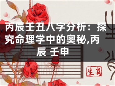 丙辰壬丑八字分析：探究命理学中的奥秘,丙辰 壬申