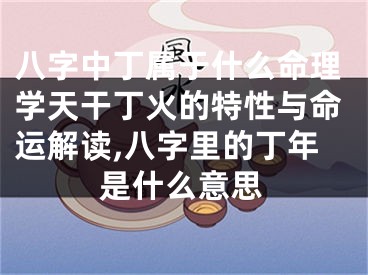 八字中丁属于什么命理学天干丁火的特性与命运解读,八字里的丁年是什么意思