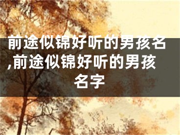 前途似锦好听的男孩名,前途似锦好听的男孩名字