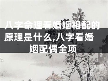 八字命理看婚姻相配的原理是什么,八字看婚姻配偶全项