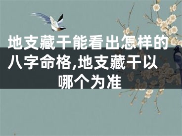 地支藏干能看出怎样的八字命格,地支藏干以哪个为准