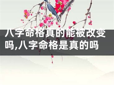 八字命格真的能被改变吗,八字命格是真的吗
