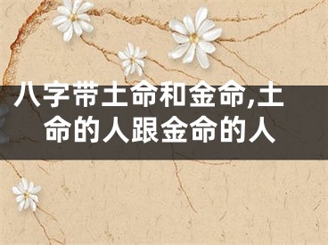 八字带土命和金命,土命的人跟金命的人