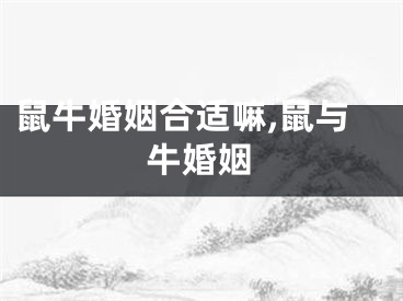 鼠牛婚姻合适嘛,鼠与牛婚姻