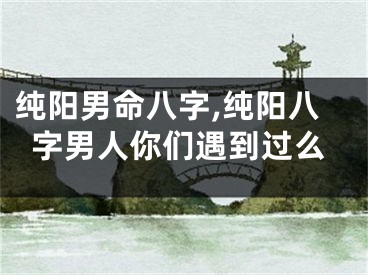 纯阳男命八字,纯阳八字男人你们遇到过么
