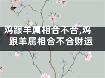 鸡跟羊属相合不合,鸡跟羊属相合不合财运