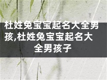 杜姓兔宝宝起名大全男孩,杜姓兔宝宝起名大全男孩子