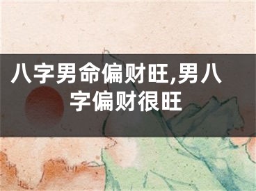 八字男命偏财旺,男八字偏财很旺