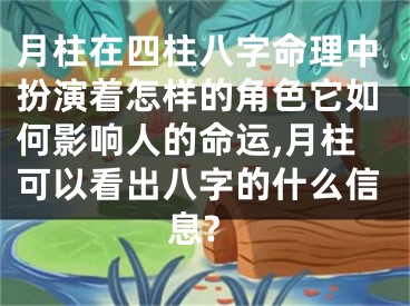 月柱在四柱八字命理中扮演着怎样的角色它如何影响人的命运,月柱可以看出八字的什么信息?