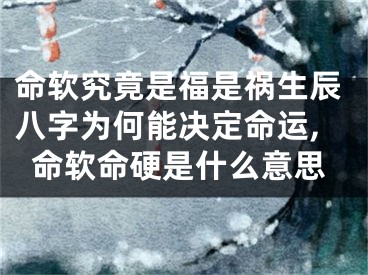 命软究竟是福是祸生辰八字为何能决定命运,命软命硬是什么意思