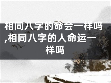 相同八字的命会一样吗,相同八字的人命运一样吗