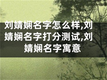 刘婧娴名字怎么样,刘婧娴名字打分测试,刘婧娴名字寓意