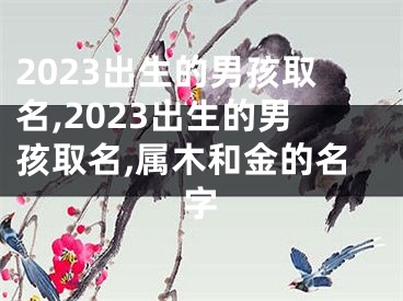 2023出生的男孩取名,2023出生的男孩取名,属木和金的名字
