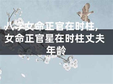八字女命正官在时柱,女命正官星在时柱丈夫年龄