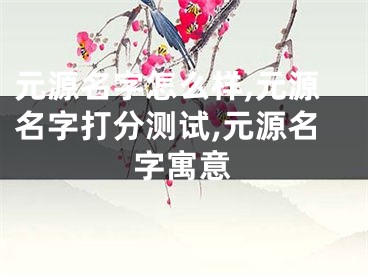 元源名字怎么样,元源名字打分测试,元源名字寓意