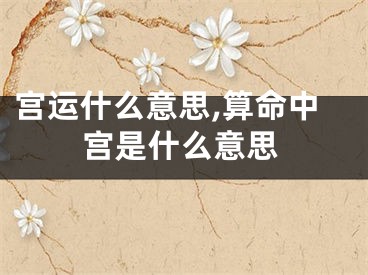 宫运什么意思,算命中宫是什么意思