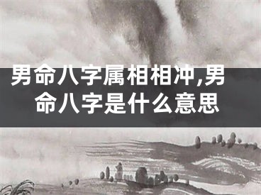 男命八字属相相冲,男命八字是什么意思
