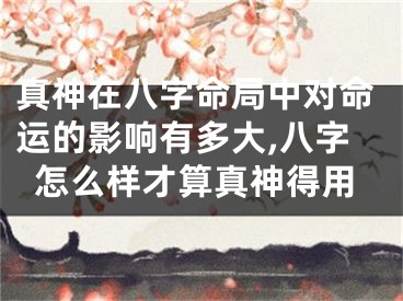 真神在八字命局中对命运的影响有多大,八字怎么样才算真神得用