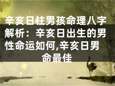 辛亥日柱男孩命理八字解析：辛亥日出生的男性命运如何,辛亥日男命最佳