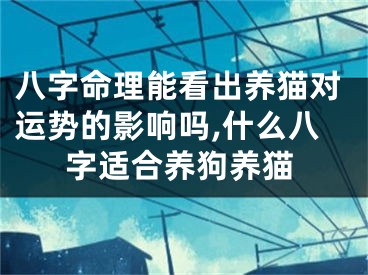 八字命理能看出养猫对运势的影响吗,什么八字适合养狗养猫