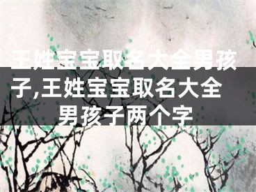 王姓宝宝取名大全男孩子,王姓宝宝取名大全男孩子两个字