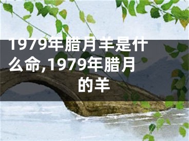 1979年腊月羊是什么命,1979年腊月的羊
