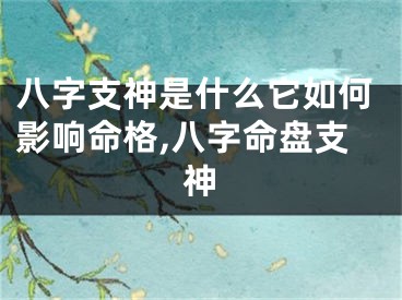 八字支神是什么它如何影响命格,八字命盘支神
