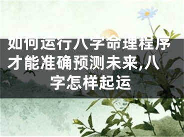 如何运行八字命理程序才能准确预测未来,八字怎样起运