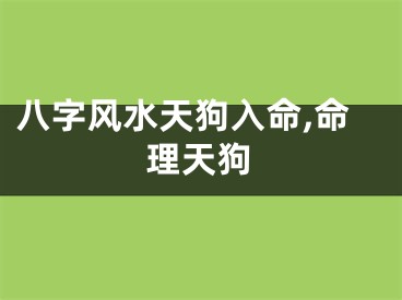 八字风水天狗入命,命理天狗