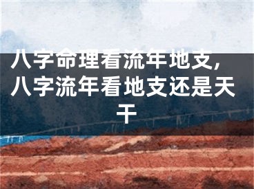 八字命理看流年地支,八字流年看地支还是天干