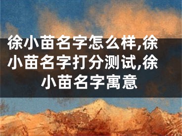 徐小苗名字怎么样,徐小苗名字打分测试,徐小苗名字寓意