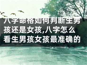 八字命格如何判断生男孩还是女孩,八字怎么看生男孩女孩最准确的