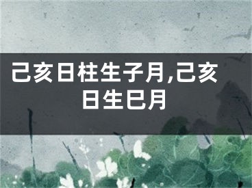 己亥日柱生子月,己亥日生巳月