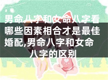 男命八字和女命八字看哪些因素相合才是最佳婚配,男命八字和女命八字的区别