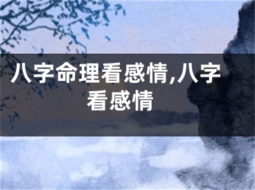 八字命理看感情,八字 看感情