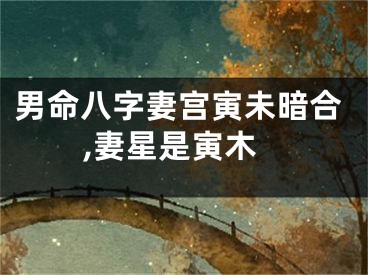 男命八字妻宫寅未暗合,妻星是寅木