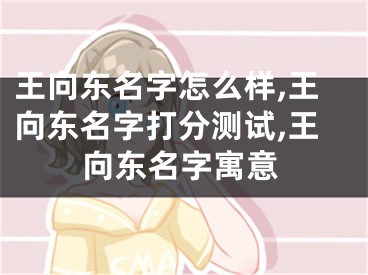 王向东名字怎么样,王向东名字打分测试,王向东名字寓意