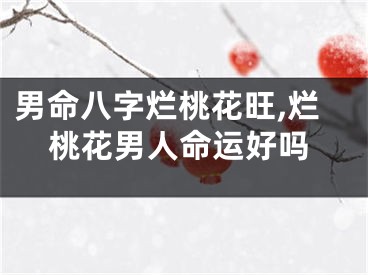 男命八字烂桃花旺,烂桃花男人命运好吗