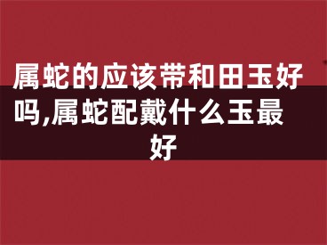 属蛇的应该带和田玉好吗,属蛇配戴什么玉最好