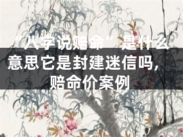 “八字说赔命”是什么意思它是封建迷信吗,赔命价案例
