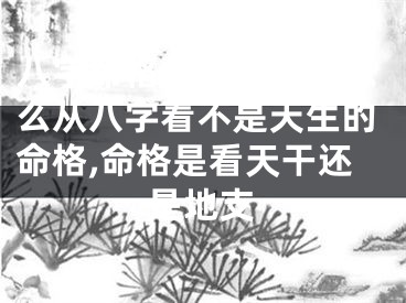 八字命格是天生的吗怎么从八字看不是天生的命格,命格是看天干还是地支
