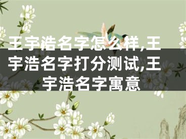 王宇浩名字怎么样,王宇浩名字打分测试,王宇浩名字寓意