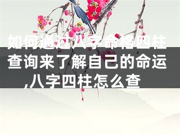 如何通过八字命格四柱查询来了解自己的命运,八字四柱怎么查