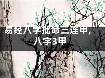 易经八字批命三连甲,八字3甲